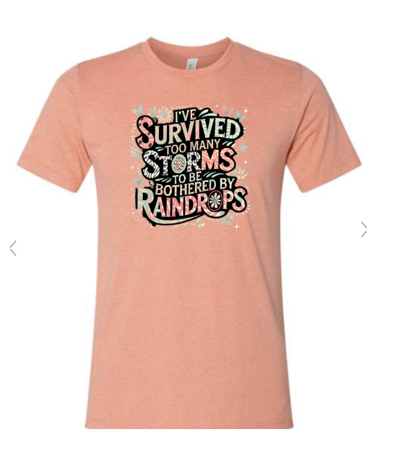 Survived Storms image 0