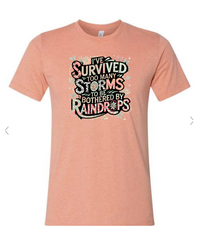 Survived Storms image 0