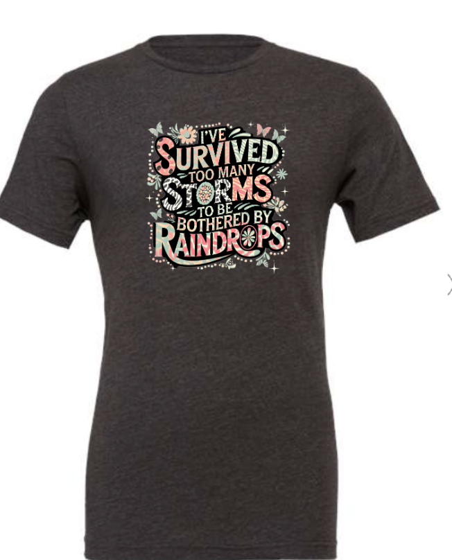 Survived Storms image 2