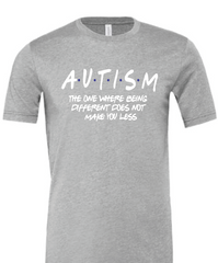 Friends Autism image 3