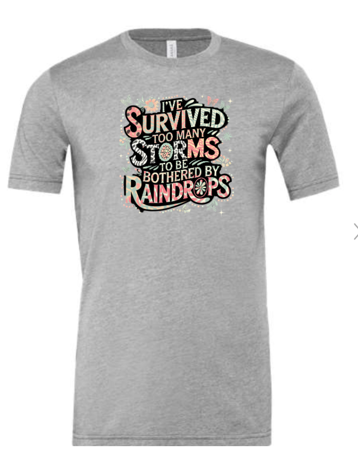 Survived Storms image 1