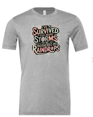 Survived Storms image 1